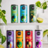 FUNKTSIONAALSETE JOOKIDE KAST | 24 x 250ml